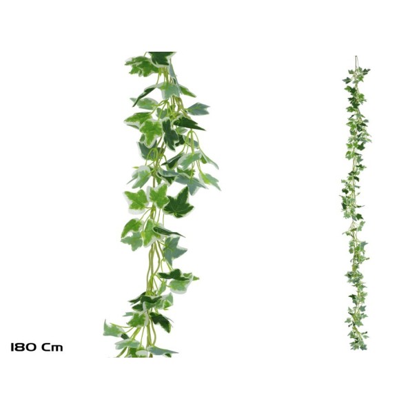 GUIRNALDA HIEDRA HOLANDESA X216LVS-180CM