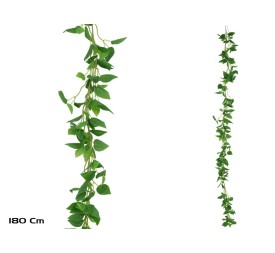 GUIRNALDA PHILODENDRON X 216LVS - 180CM