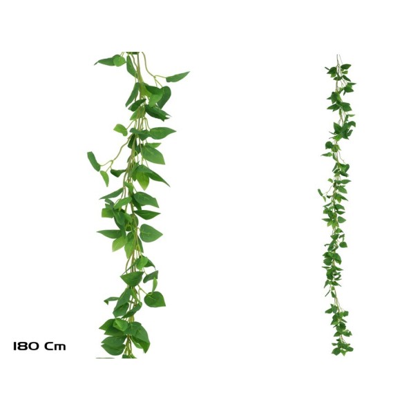 GUIRNALDA PHILODENDRON X 216LVS - 180CM