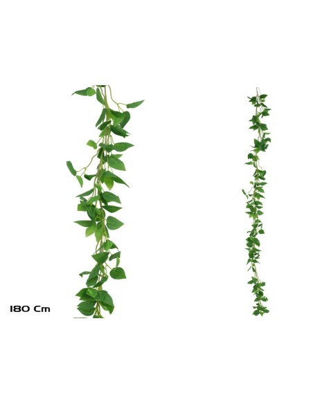 GUIRNALDA PHILODENDRON X 216LVS - 180CM