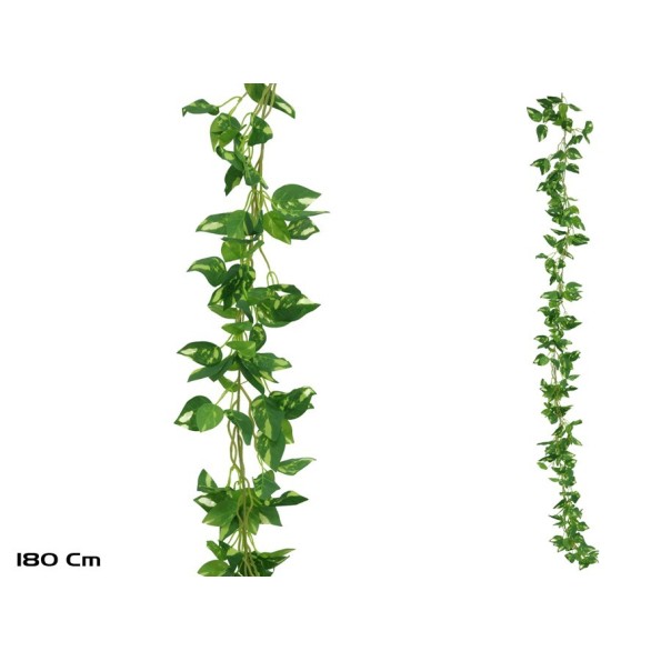 GUIRNALDA POTUS X 216LVS - 180CM