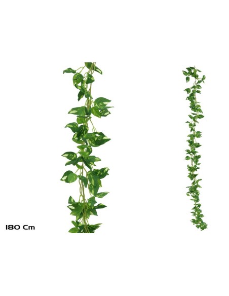 GUIRNALDA POTUS X 216LVS - 180CM