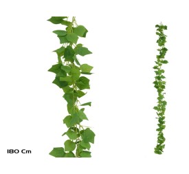 GUIRNALDA PARRA X 216LVS - 180CM