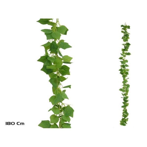 GUIRNALDA PARRA X 216LVS - 180CM