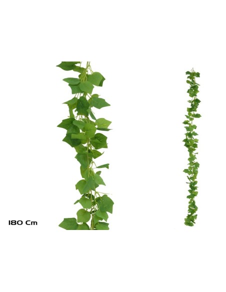 GUIRNALDA PARRA X 216LVS - 180CM