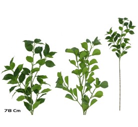 VARA FICUS-GINKO R/TOUCH X 53 -78 CM (S)
