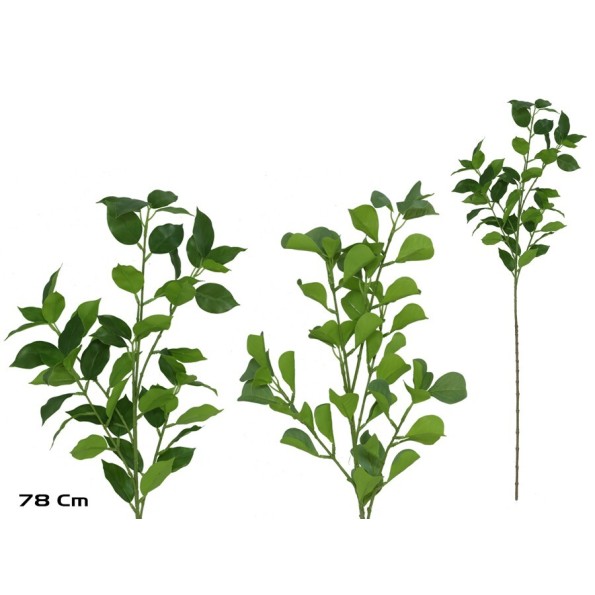 VARA FICUS-GINKO R/TOUCH X 53 -78 CM (S)