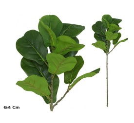 VARA FICUS LYRATA R/TOUCH X 12 - 64 CM