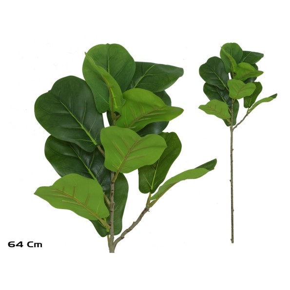 VARA FICUS LYRATA R/TOUCH X 12 - 64 CM