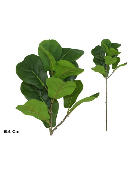 VARA FICUS LYRATA R/TOUCH X 12 - 64 CM