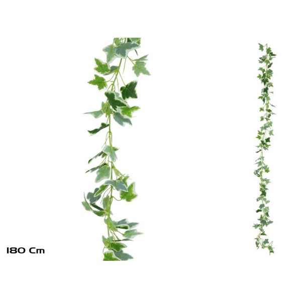 GUIRNALDA HIEDRA HOLANDESA X138LVS-180CM