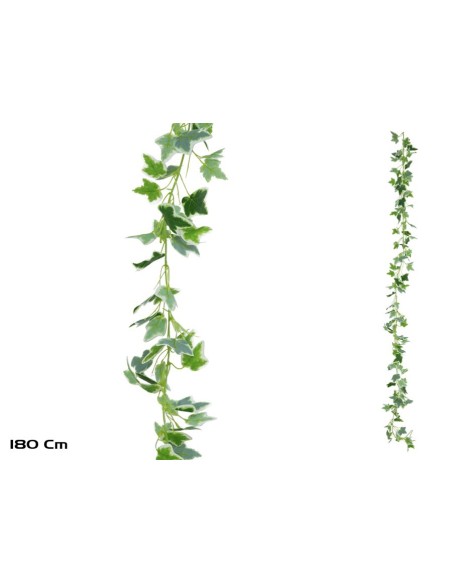 GUIRNALDA HIEDRA HOLANDESA X138LVS-180CM