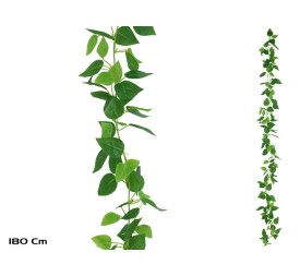 GUIRNALDA PHILODENDRON X 138LVS - 180CM