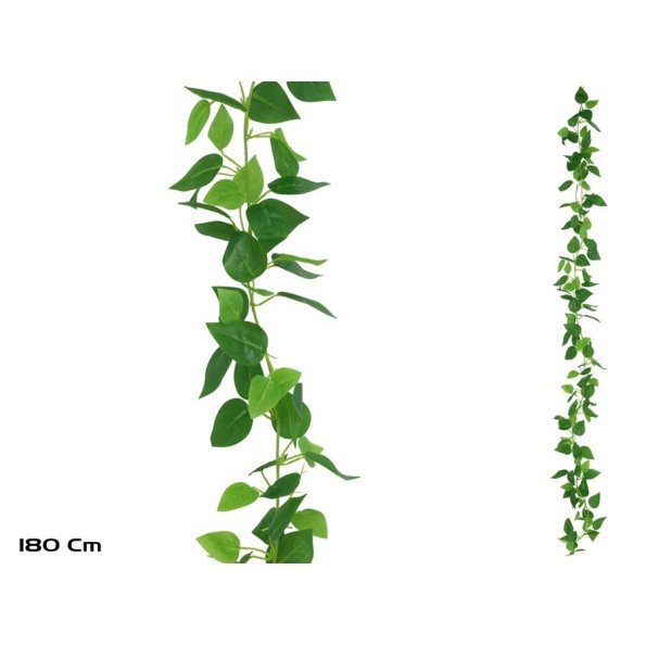 GUIRNALDA PHILODENDRON X 138LVS - 180CM