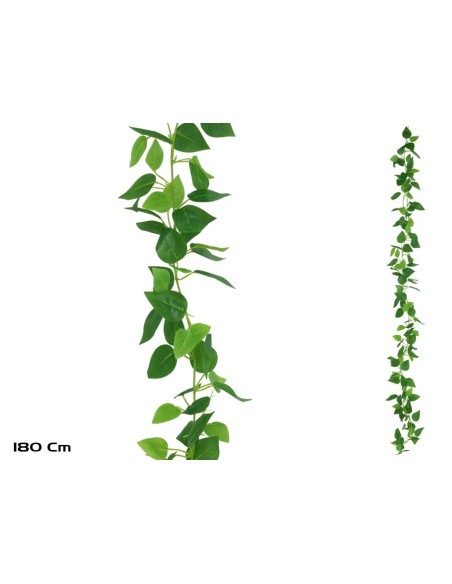 GUIRNALDA PHILODENDRON X 138LVS - 180CM