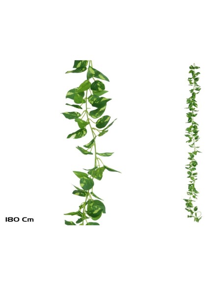 GUIRNALDA POTUS X 138LVS - 180CM