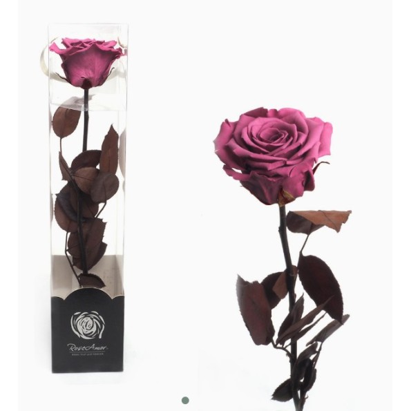 ROSA PRESERVADA ENVEJECIDA VIOLETA