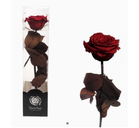 ROSA PRESERVADA ENVEJECIDA ROJO