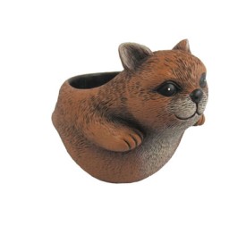 MACETERO GATO COMICO