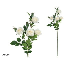 VARA CAPULLO X 7 - 71 CM (BEIGE)