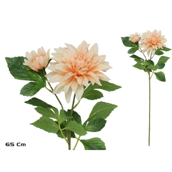 VARA DALIA X 2 - 65 CM (TE)