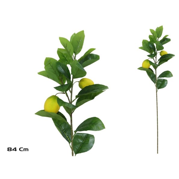 VARA LIMONES X 2 - 84 CM
