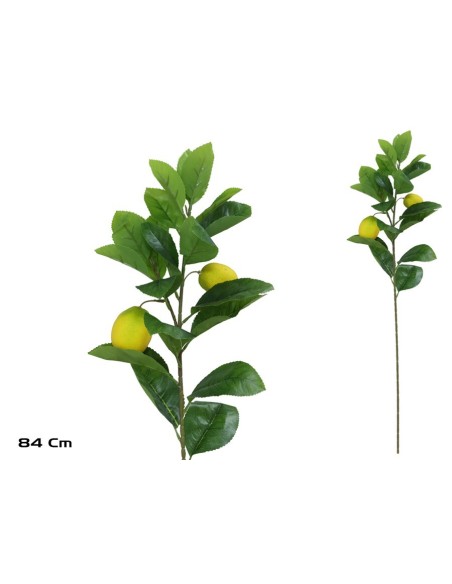 VARA LIMONES X 2 - 84 CM
