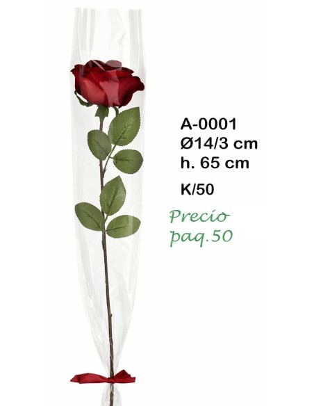 CONO TRANSPARENTE NEUTRO 50PZS