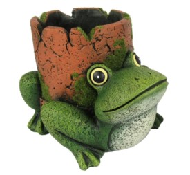 MACETERO RANA TIESTO M