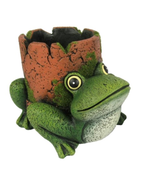 MACETERO RANA TIESTO M