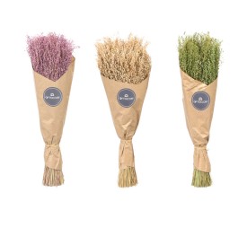 RAMILLETE CENTENO NATURAL SURT 3 COL