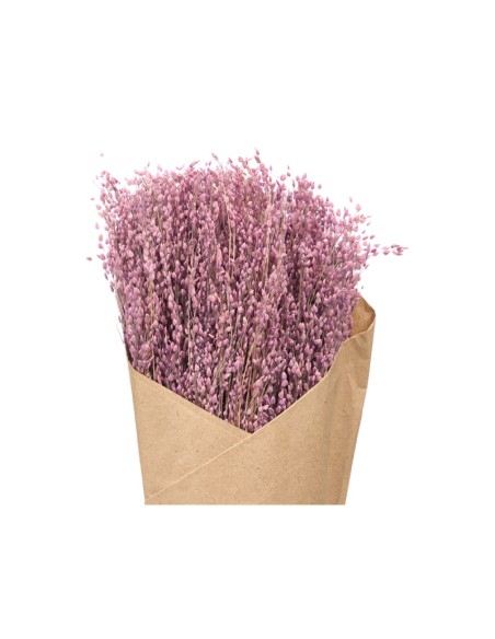 RAMILLETE CENTENO NATURAL SURT 3 COL