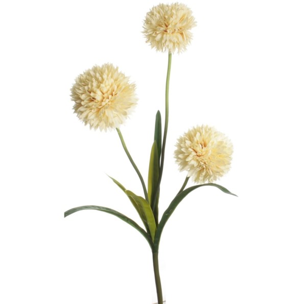 VARA POM POM X 3 CREMA