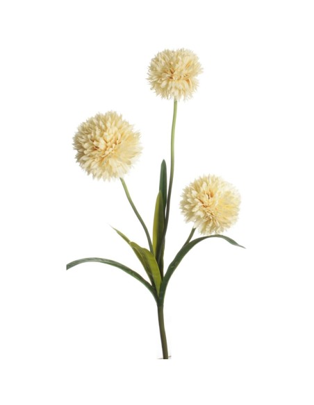 VARA POM POM X 3 CREMA