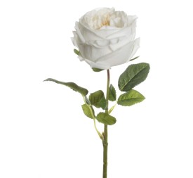 VARA ROSA REAL TOUCH CREMA