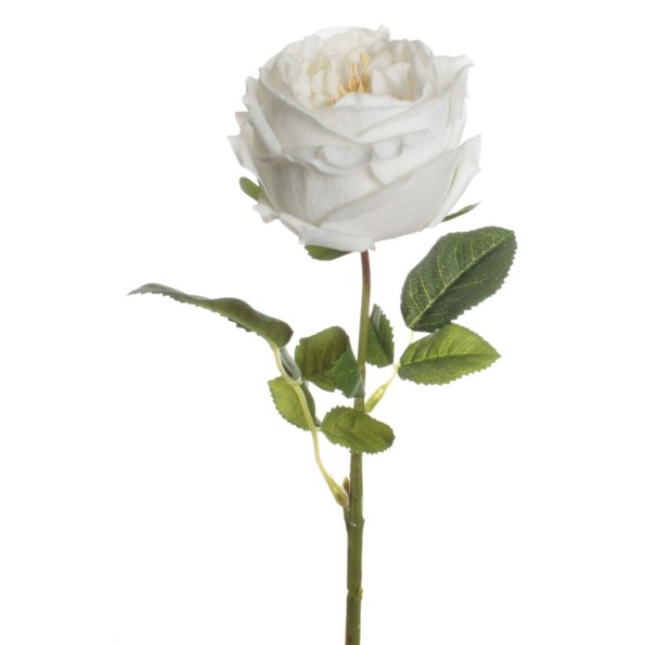 VARA ROSA REAL TOUCH CREMA