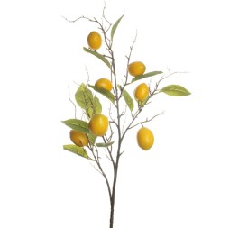 VARA LIMONES