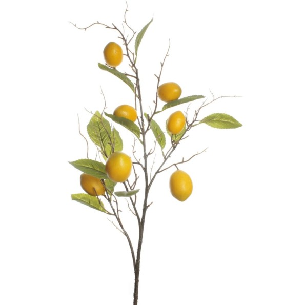 VARA LIMONES