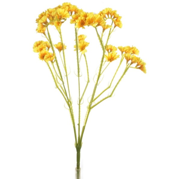 RAMO STATIS AMARILLO