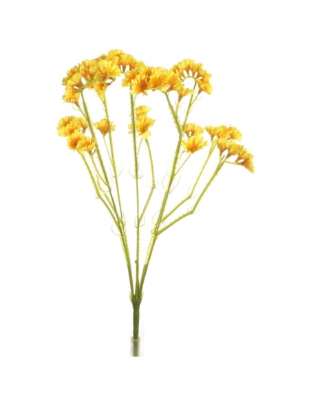 RAMO STATIS AMARILLO