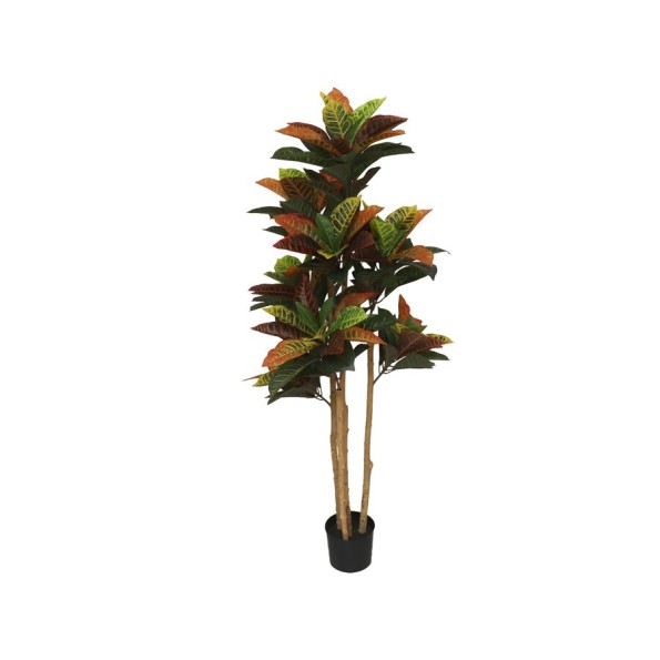 PLANTA CROTON T/NATURAL - 150 CM