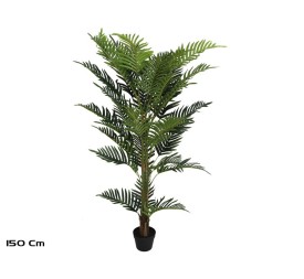 PLANTA PALMERA ARECA X 36 - 150 CM