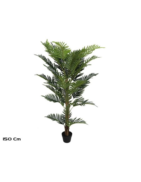 PLANTA PALMERA ARECA X 36 - 150 CM