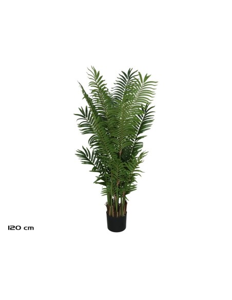 PLANTA PALMA ARECA X 15 - 120 CM
