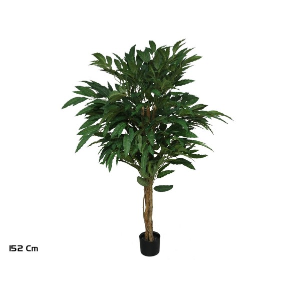 ARBOL MANGO T/N 152 CM