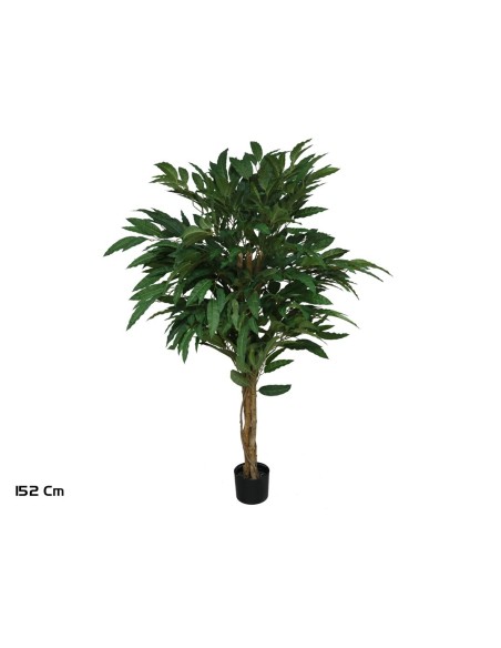 ARBOL MANGO T/N 152 CM