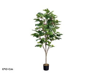 ARBOL HIGUERA X 134 LVS-28F -170 CM