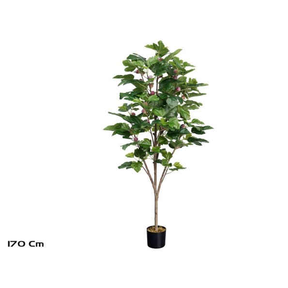 ARBOL HIGUERA X 134 LVS-28F -170 CM