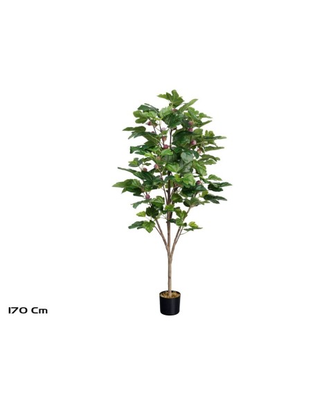 ARBOL HIGUERA X 134 LVS-28F -170 CM