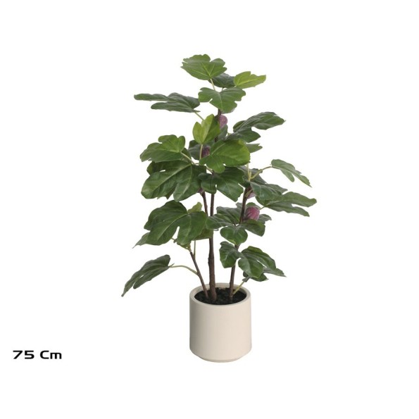 MACETA BLANCA LUX  HIGUERA 75 CM